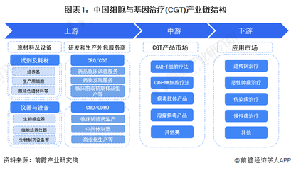 图表1:中国细胞与基因治疗(CGT)产业链结构