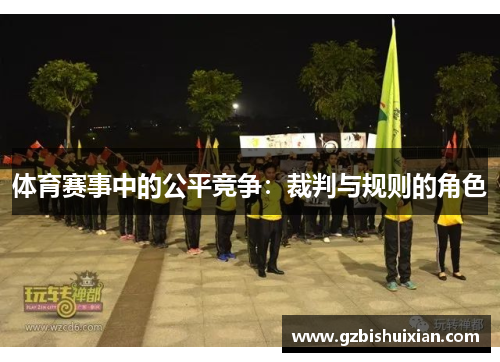 体育赛事中的公平竞争：裁判与规则的角色