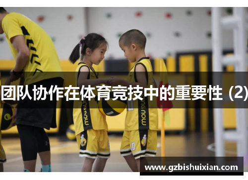 团队协作在体育竞技中的重要性 (2)