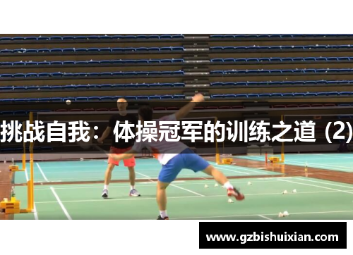 挑战自我：体操冠军的训练之道 (2)