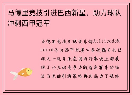 马德里竞技引进巴西新星，助力球队冲刺西甲冠军